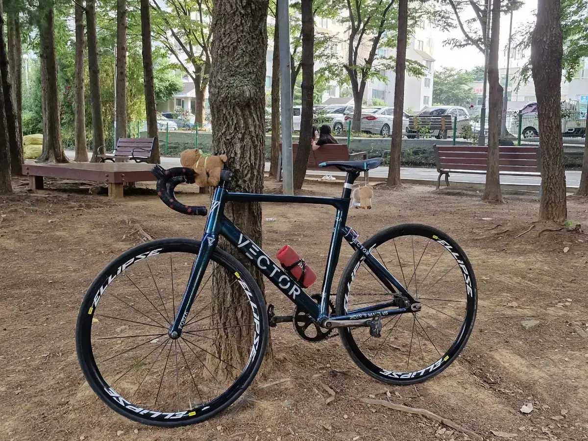 Mavic Ellips 15-year-old