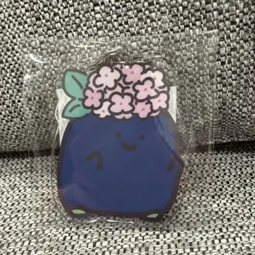 문구와 함께 비와 수국 GIGO 한정판 아크릴 참 이름 없는 자