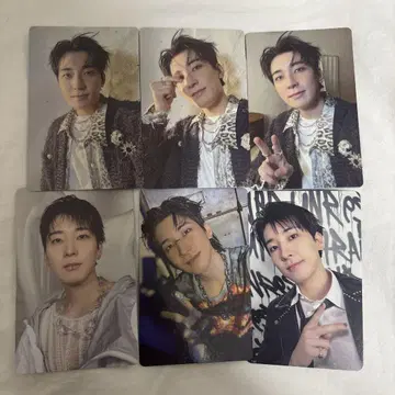 세부치 SEVENTEEN 원우 봉입 트레이딩 카드