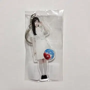 노기자카46 이케다 에이사 치트 데이 아크릴 키링 아크링 키링