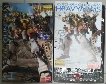 MG 1/100 헤비 암즈 EW