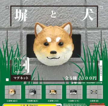 가챠, 담과 개, 마그넷, 풀 컴프