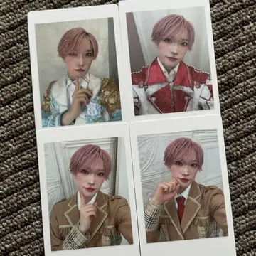 팬더 드래곤 파라곤 하피카 타이