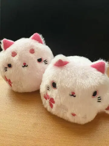 네코단고 벚꽃