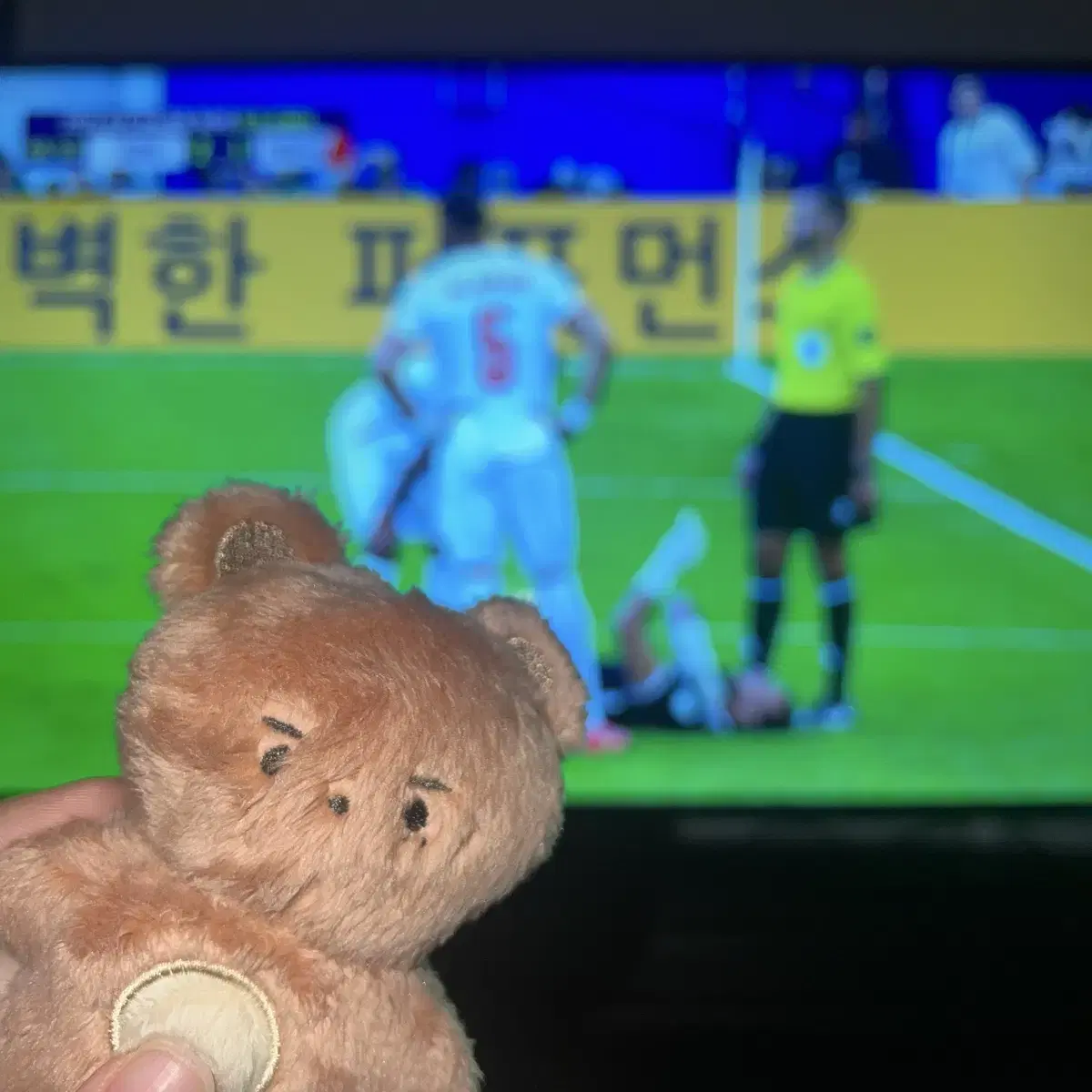 이캉쥐 판매