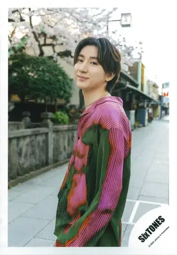 SixTONES 코카라 교모토 타이가 공식 사진 *1장