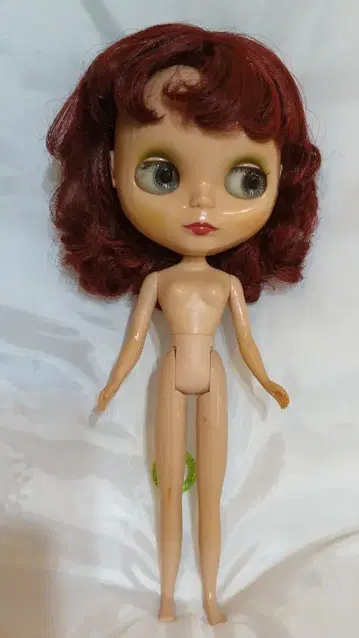 타카라토미 네오 브라이스 젠틀 리버