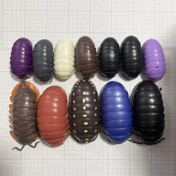 단고무시 마루마루 스윙 레어 포함 12마리 세트
