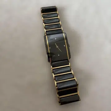 RADO 라도 다이아스타 쥬빌리 160.0281.3N