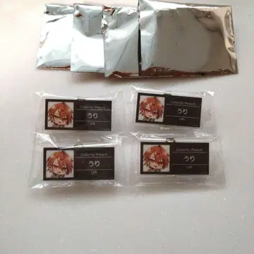 컬러풀 피치 우리 카라피치 파라다이스 2025 명찰 배지 4개