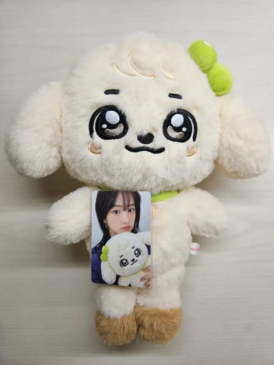 [개봉]아이브 스쿨팝업 미니브 30cm 강안지