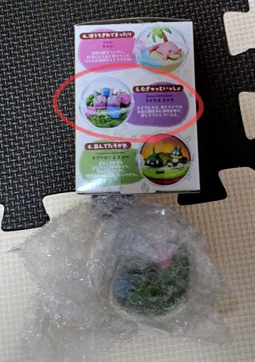 포켓몬스터 테라리움 컬렉션 느긋한 시간
