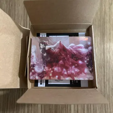프로세카 시로이시 안 노블 아트 vol.42 준 브라 비바스