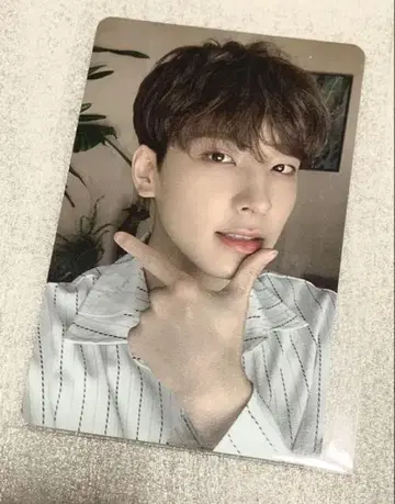 SEVENTEEN 세부치 하피엔 카라트판 원우