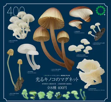 네이처 테크니컬러 MONO PLUS 빛나는 버섯 마그넷 총 8종