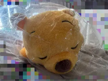 곰돌이 푸 봉제 인형 본체