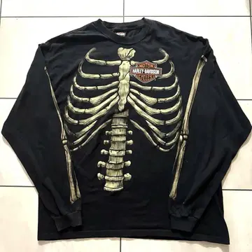 HARLEY DAVIDSON 뼈 스컬 본 2009년