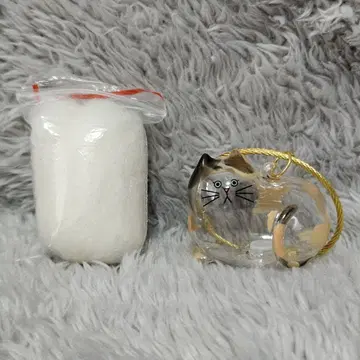 우리 집 고양이 삼색 고양이