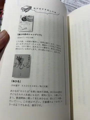 후쿠야 경질 카드 케이스 벚꽃 밤벚꽃 카드 사이즈 엽서 사이즈
