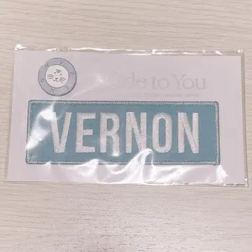 SEVENTEEN 세부치 버논 배지 세트