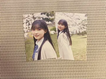 사쿠라자카46 야마카와 엽서