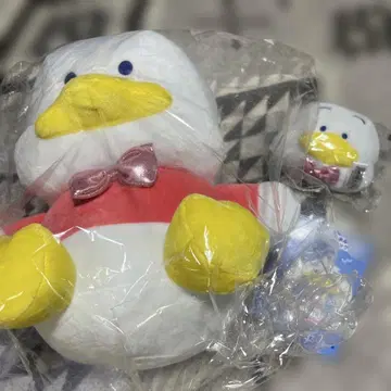하피단부이 당첨 복권 페쿠루