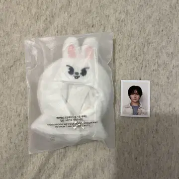 스키즈 PLUSH OUTFIT Lee 비트 펜미 리노 ID 사진