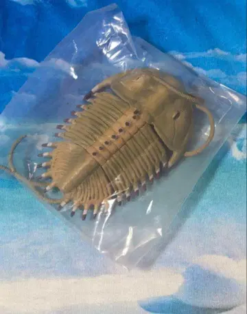 삼엽충 피규어