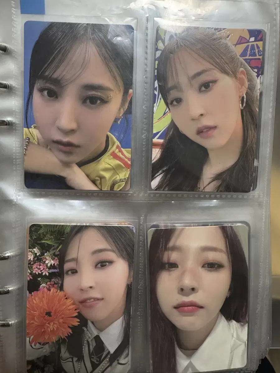 마마무 포카