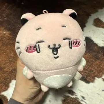 치이카와 키메라 토호