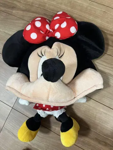 미니의 모자