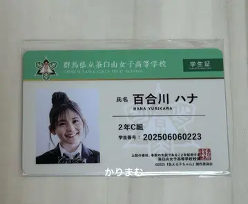 보이는 아이 명찰 B 하나 네임 학생증 극장 굿즈