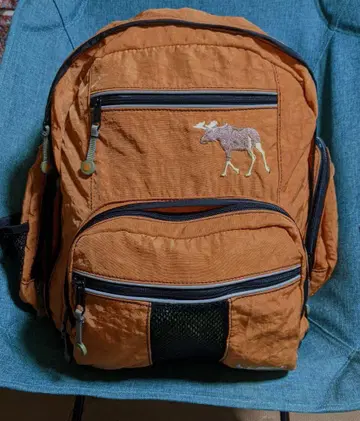 레어 L.L.Bean 90s 빈티지 다기능 나일론 백팩