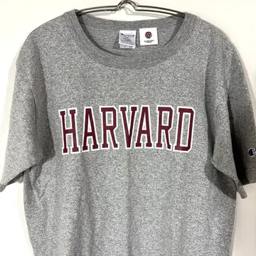 Champion 챔피온 HARVARD 칼리지 T 그레이 M 미국제