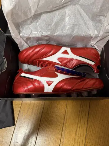 40주년 한정판 컬러 미즈노 모레리아 2 JAPAN 27cm
