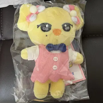 라이브 미니 스쿨 팝업 나오리