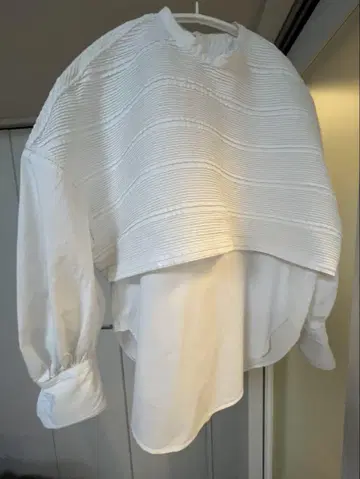 Pheeta (피타)