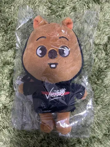 Stray Kids 쿠오카 SKZOO MINI PLUSH