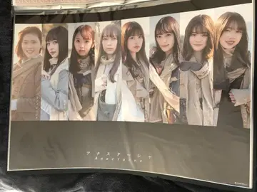 노기자카46 2기생 B2 포스터/아나스타샤