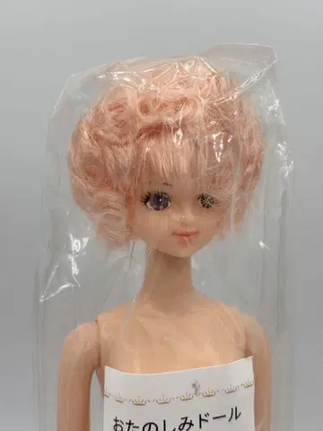 미라이 오타노시미 인형 핑크 컬리 헤어 리카짱 캐슬 새상품