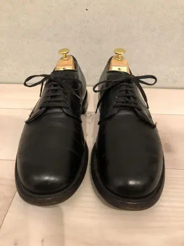 ALDEN 53719 밀리터리 라스트 플레인 9h