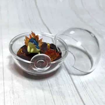 포켓몬 테라리움 컬렉션 마그마 라시