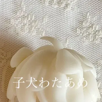 중고 강아지 솜사탕 커스텀