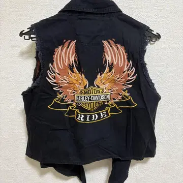 HARLEY-DAVIDSON 블랙 베스트