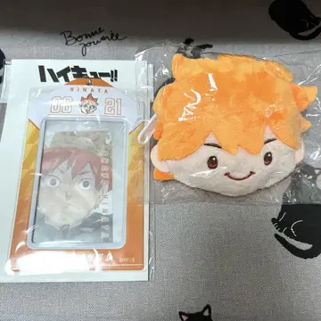 하이큐!! 생일 카드 홀더 리버서블 봉제 인형 히나타 쇼요
