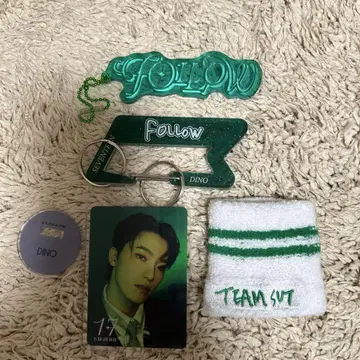 SEVENTEEN 디노 세트