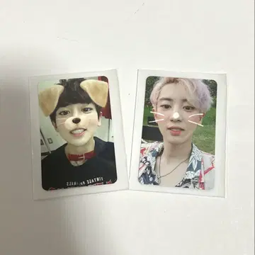 EXO 찬열 트레이딩 카드 정리