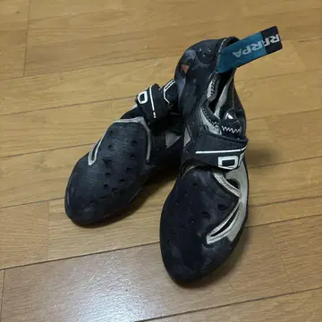 스컬파 드라고 LV 41