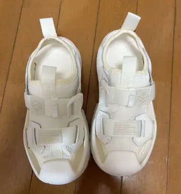 컨버스 MSD CP 23cm