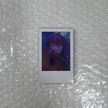 세라프 다즐 가든 가요제 2024 폴라로이드